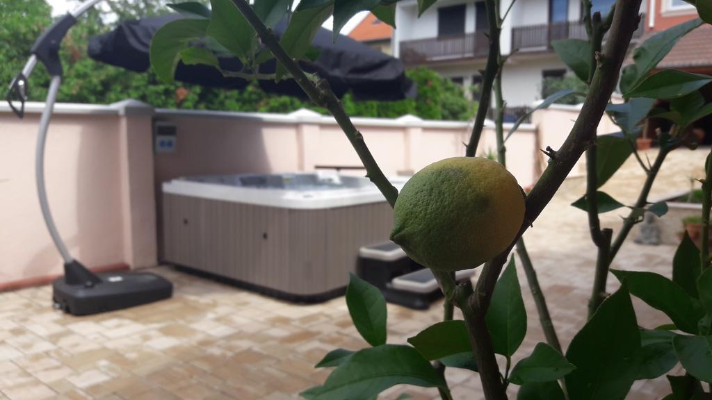 Csillag Panzio Hotel Vac Luaran gambar